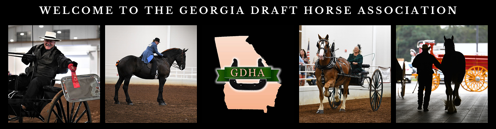 Georgia Draft Horse Association